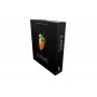 Image-Line FL Studio 21 Fruity Edition