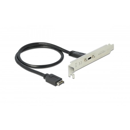 Delock Slotblech mit 1x USB Typ-C Port